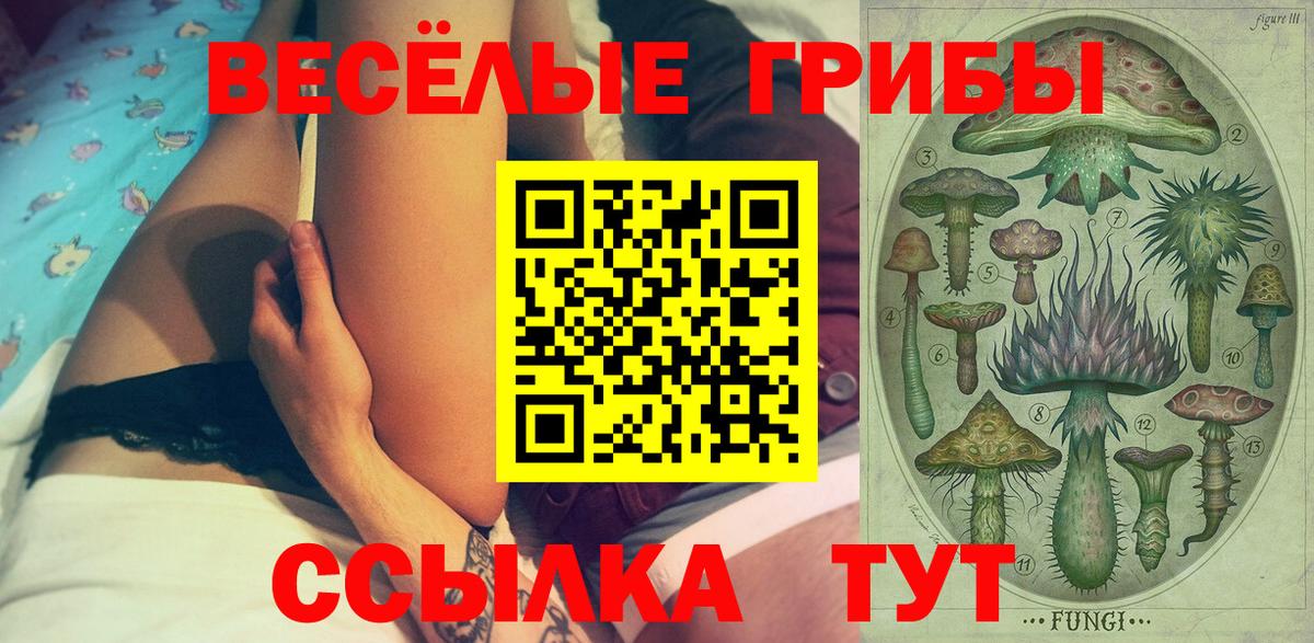 купить наркоту  Вход с VPN  Нижнеудинск  Псилоцибиновые грибы Cubensis 